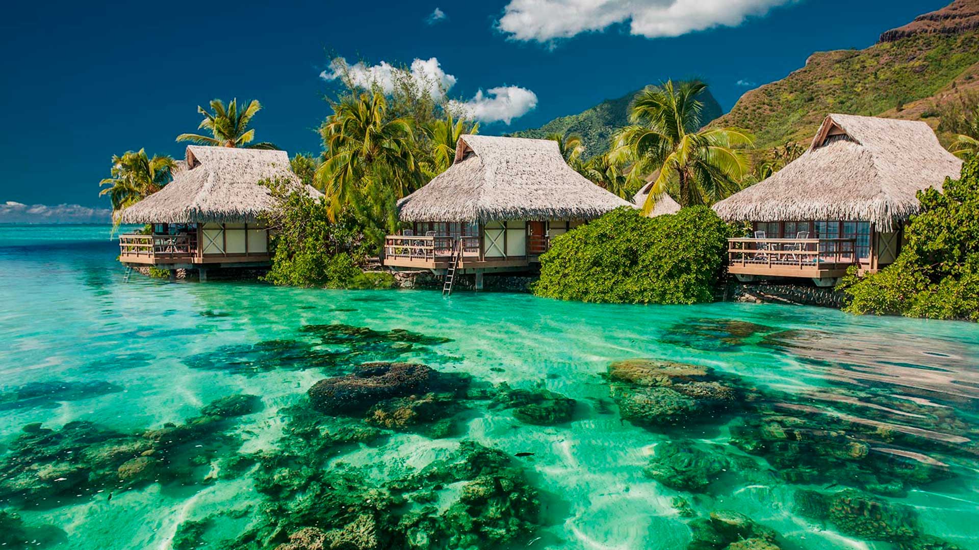Paradise Islands of Polynesia